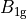 B_{1{\rm g}}