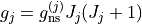 g_j = g_{\rm ns}^{(j)} J_j(J_j+1)