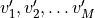 v'_1, v'_2, \ldots v'_M