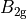B_{2{\rm g}}