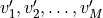 v_1', v'_2,\ldots, v'_M
